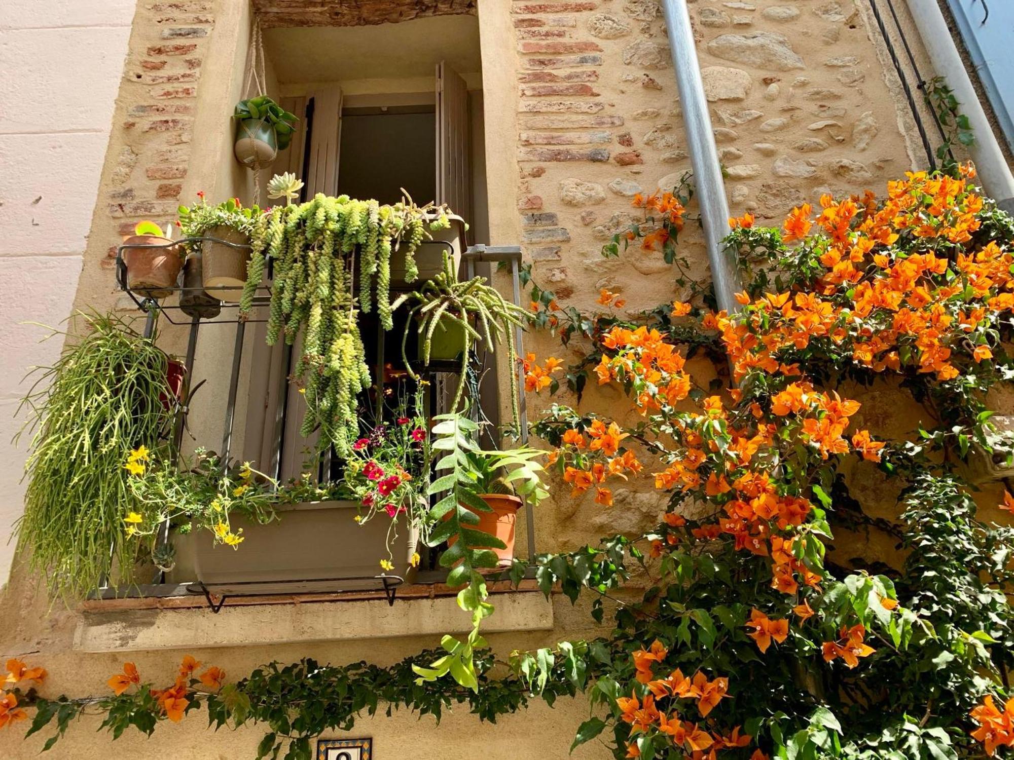 Maison Historique Rue Vermeille Argeles Sur Mer Екстер'єр фото