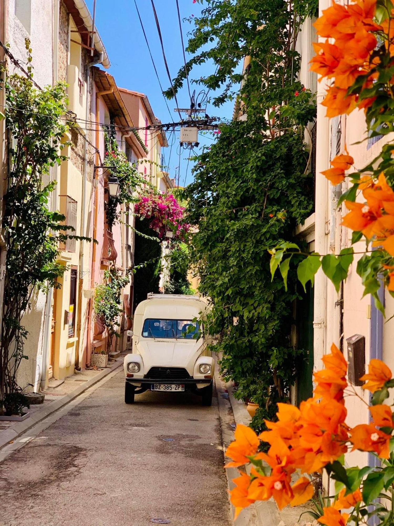 Maison Historique Rue Vermeille Argeles Sur Mer Екстер'єр фото